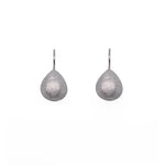 Load image into Gallery viewer, Silver Rhodium Drop Earrings
