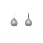 Load image into Gallery viewer, Silver Rhodium Drop Earrings